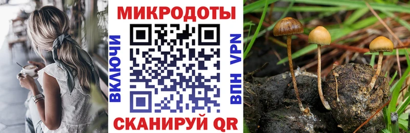 Галлюциногенные грибы Psilocybine cubensis  Купить  Курганинск 